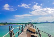 Khám phá cầu gỗ Ông Cọp – Thiên đường check in đẹp quên lối về tại Phú Yên check in tại cầu Ông Cọp Phú Yên