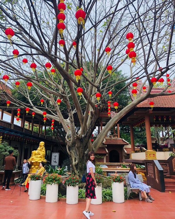 Cây đèn lồng đỏ rực rỡ  tại chùa Nam Sơn Đà Nẵng