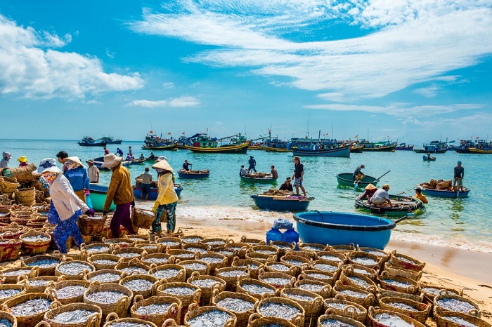 người dân làng chài Mũi Né thu hoạch hải sản - một trong những làng chài nổi tiếng ở Việt Nam