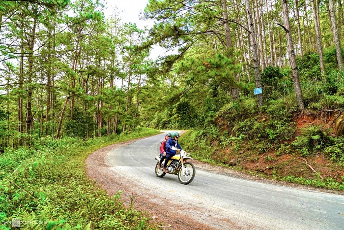 kinh nghiệm Du lịch Măng Đen Kon Tum