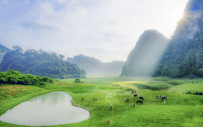 Dong Lam Meadow - A beautiful green paradise of Lang Son
