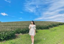 Những trải nghiệm thú vị nhất định không được bỏ lỡ khi du lịch Mộc Châu tháng 9