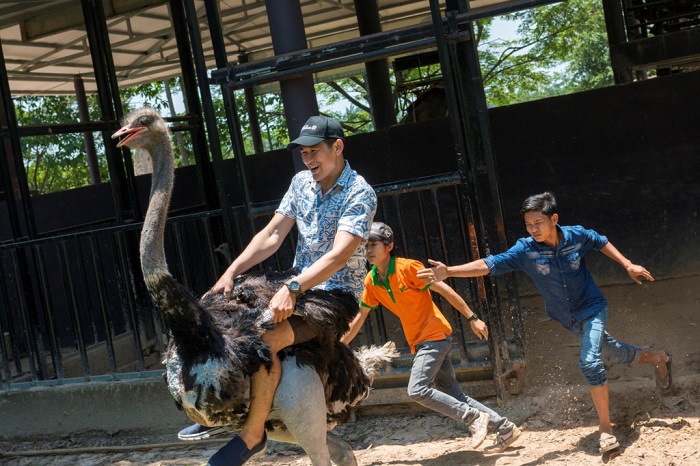cưỡi đà điểu tại khu du lịch Vườn Xoài Đồng Nai