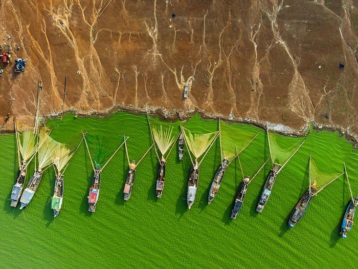 du lịch hồ Trị An - Mùa tảo xanh nở rộng trên mặt hồ Trị An