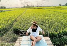 Check in Roving Chillhouse Hội An – Quán cafe giữa đồng đẹp ngỡ ngàng khiến dân tình ‘điên đảo’ quán cà phê Roving Chillhouse