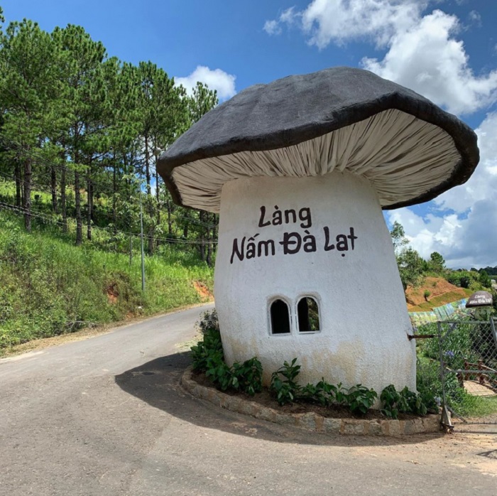 Check in làng Nấm Đà Lạt
