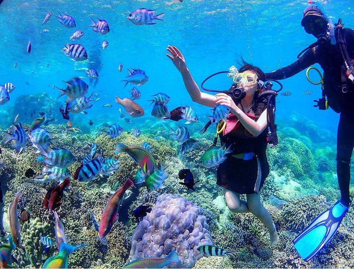 kinh nghiệm du lịch Đảo Yến Nha Trang - lặn ngắm san hô