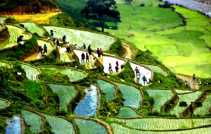 check in bản Lao Chải Sapa