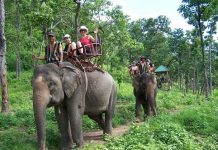 Trải nghiệm cưỡi voi đầy thú vị tại vườn quốc gia Yok Đôn Đắk Lắk vườn quốc giá Yok Đôn Đắk Lắk