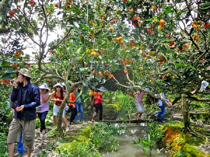 Khu du lịch sinh thái vườn Ba Ngói - Khu du lịch sinh thái ở Bến Tre nổi tiếng