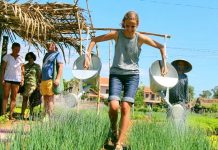 Khám phá trải nghiệm đầy mới lạ và thú vị tại làng rau Trà Quế Hội An Làng rau Trà Quế Hội An