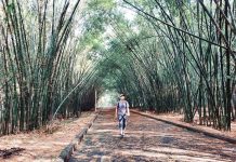 Du lịch làng tre Phú An – Thánh địa check in sống ảo siêu chất ngay sát Sài Gòn làng tre Phú An Bình Dương