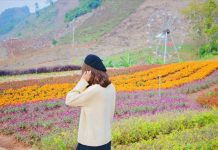 Khám phá khu du lịch Mộc Châu Happy Land – thiên đường sống ảo tuyệt đỉnh Khu du lịch Mộc Châu Happy Land