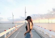 Vi vu cánh đồng quạt gió Bạc Liêu – thiên đường check in đẹp tựa trời Âu cánh đồng quạt gió Bạc Liêu