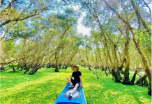 Khám phá rừng tràm Trà Sư – ‘tuyệt phẩm’ của tạo hóa tại An Giang rừng tràm Trà Sư An Giang