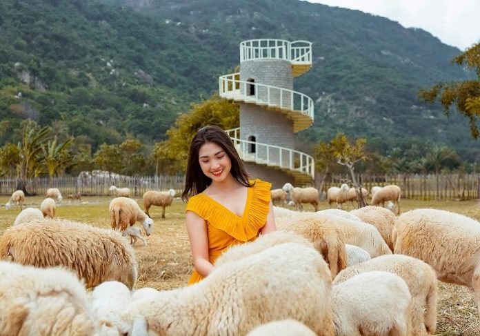 đồng cừu Suối Tiên Khánh Hòa