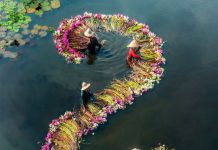 Cẩm nang du lịch miền tây 2 ngày nên đi đâu, ăn gì SIÊU TIẾT KIỆM