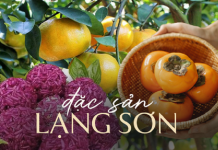 Điểm danh những món đặc sản Lạng Sơn mua làm quà khiến ai cũng mê tít