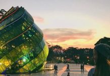 Du lịch Đà Lạt mùa nào đẹp nhất? 4 thời điểm đi Đà Lạt không thể bỏ lỡ