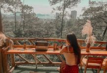 Điểm danh những homestay siêu đẹp tại Hạ Long khiến bạn phải mê mẩn