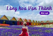 Kinh nghiệm đi làng hoa Vạn Thành – Điểm đến hấp dẫn không thể bỏ lỡ tại Đà Lạt