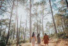 Kinh nghiệm du lịch Rừng Thông Bản Áng – ‘Đà Lạt thu nhỏ’ của vùng núi Tây Bắc