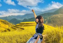 Kinh nghiệm du lịch Hoàng Su Phì – Điểm đến đẹp tựa thiên đường tại Hà Giang