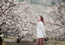 Du lịch Mộc Châu tháng 12, trải nghiệm tuyệt vời các tín đồ xê dịch không nên bỏ lỡ