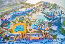 Kinh nghiệm du lịch Đồi Rồng Hải Phòng: Chơi đâu ăn gì