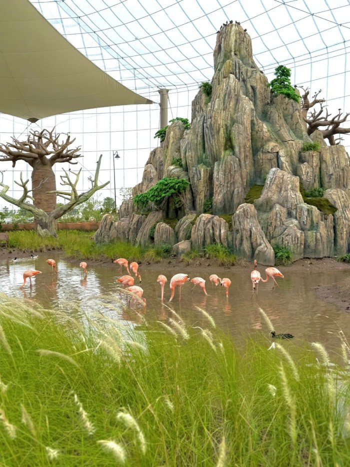 kinh nghiệm du lịch đảo Vũ yên