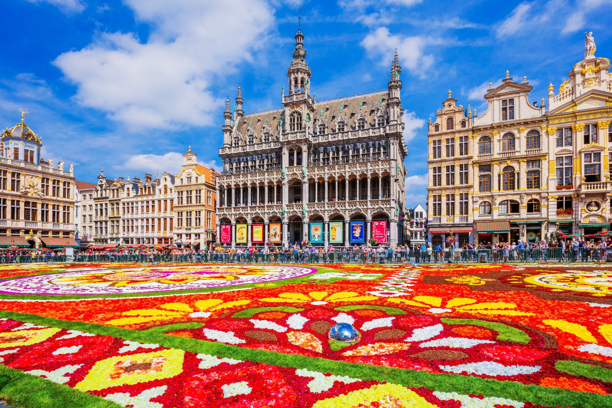  Quảng trường lớn The Grand Place vào dịp lễ với bức tranh hoa khổng lồ ở giữa, điểm đến không thể bỏ qua khi đi tour du lịch Châu Âu