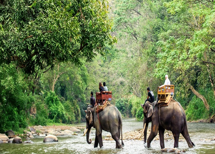 Elephant Camp.