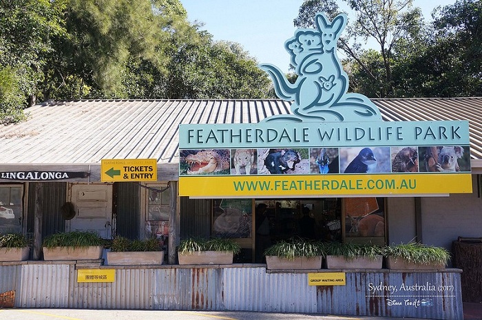 Tour du lịch Úc Wildlife Park