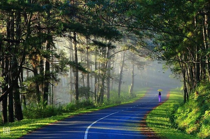 tour Đà Lạt 3 ngày 2 đêm - Buổi sáng Đà Lạt