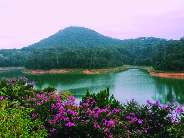 tour Đà Lạt 3 ngày 2 đêm hồ tuyền lâm