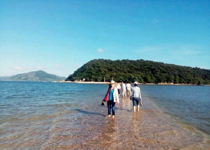 nhat-tu-son
