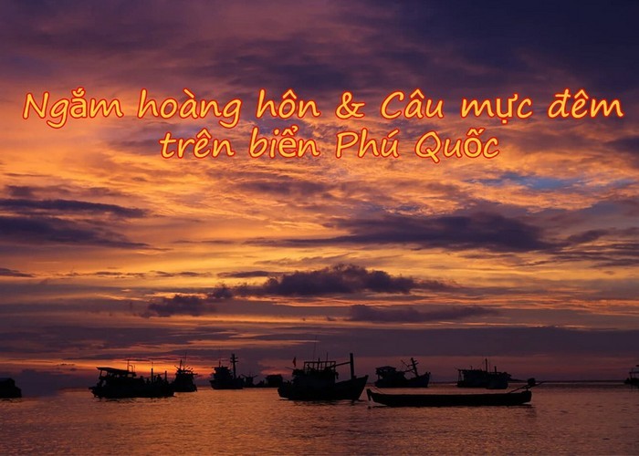 ngam_hoang_hon__cau_muc_phu_quoc