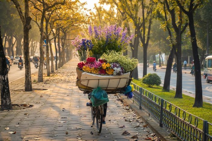 Mùa thu là thời điểm lý tưởng để bạn đi du lịch Hà Nội