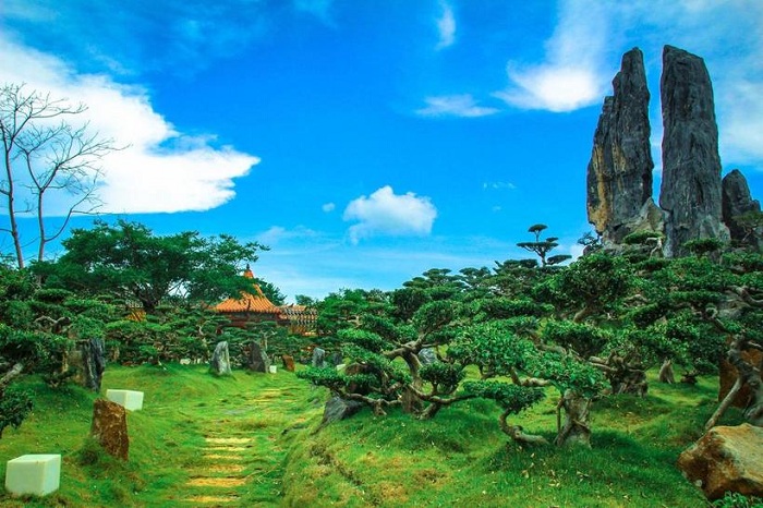 DoiDep-Tea-Resort-6