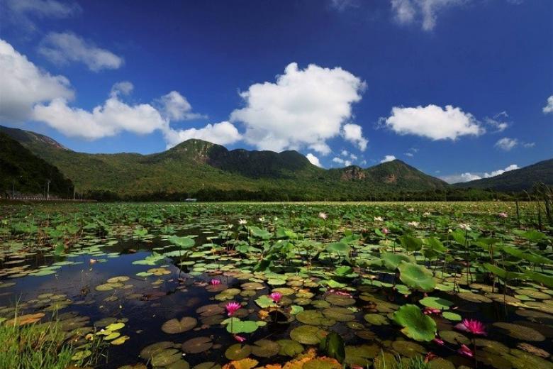 Hồ An Hải
