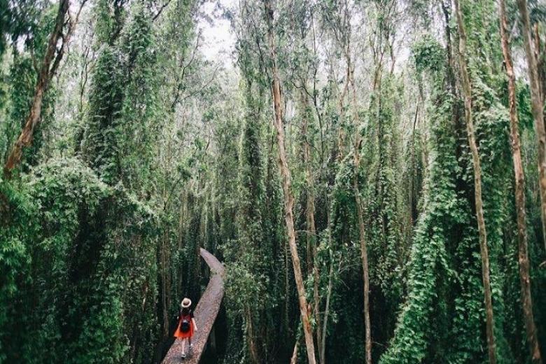 Làng nổi Tân Lập