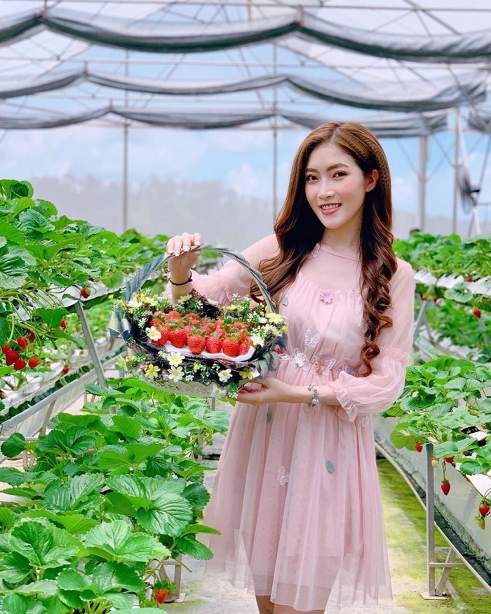 Trải nghiệm hái dâu tây ở Đà Lạt