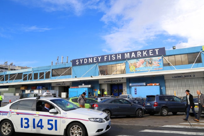 sydneyfish