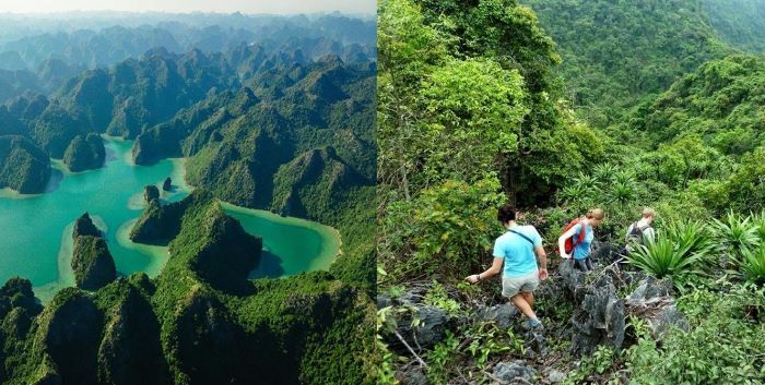Trải nghiệm rừng quốc gia trên đảo Cát Bà