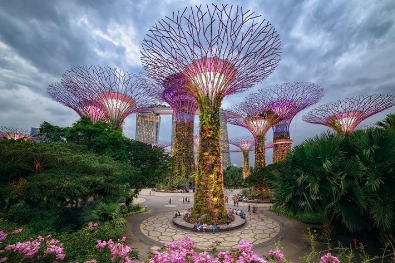 Garden by the Bay