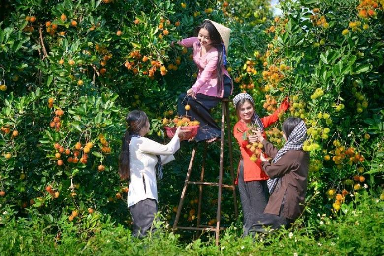 Vườn trái cây