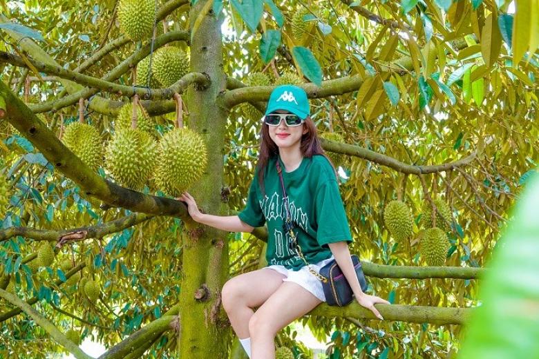 Vườn trái cây
