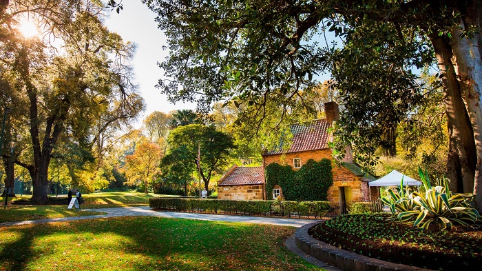 Vườn thực vật Fitzroy
