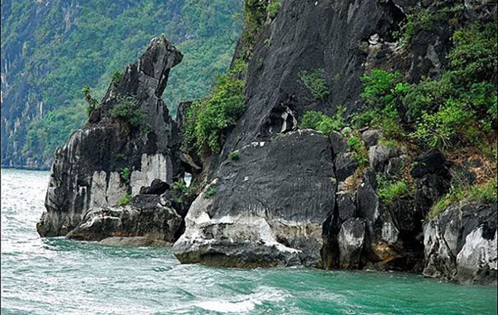hon-cho-da-vinh-ha-long