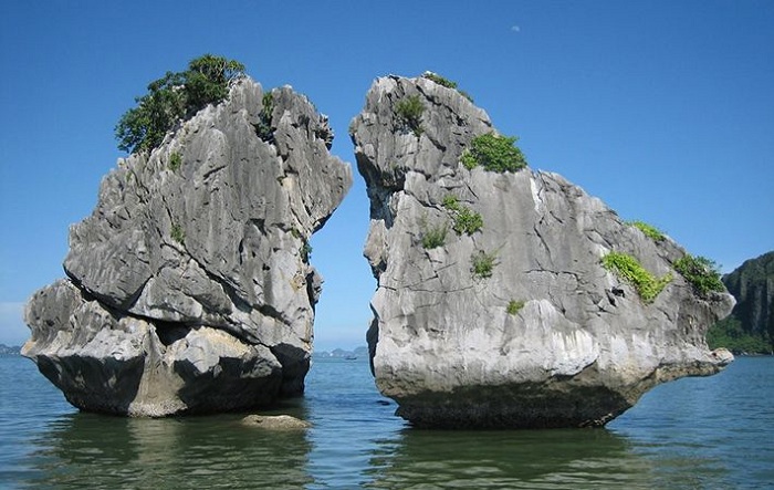 hon-trong-mai
